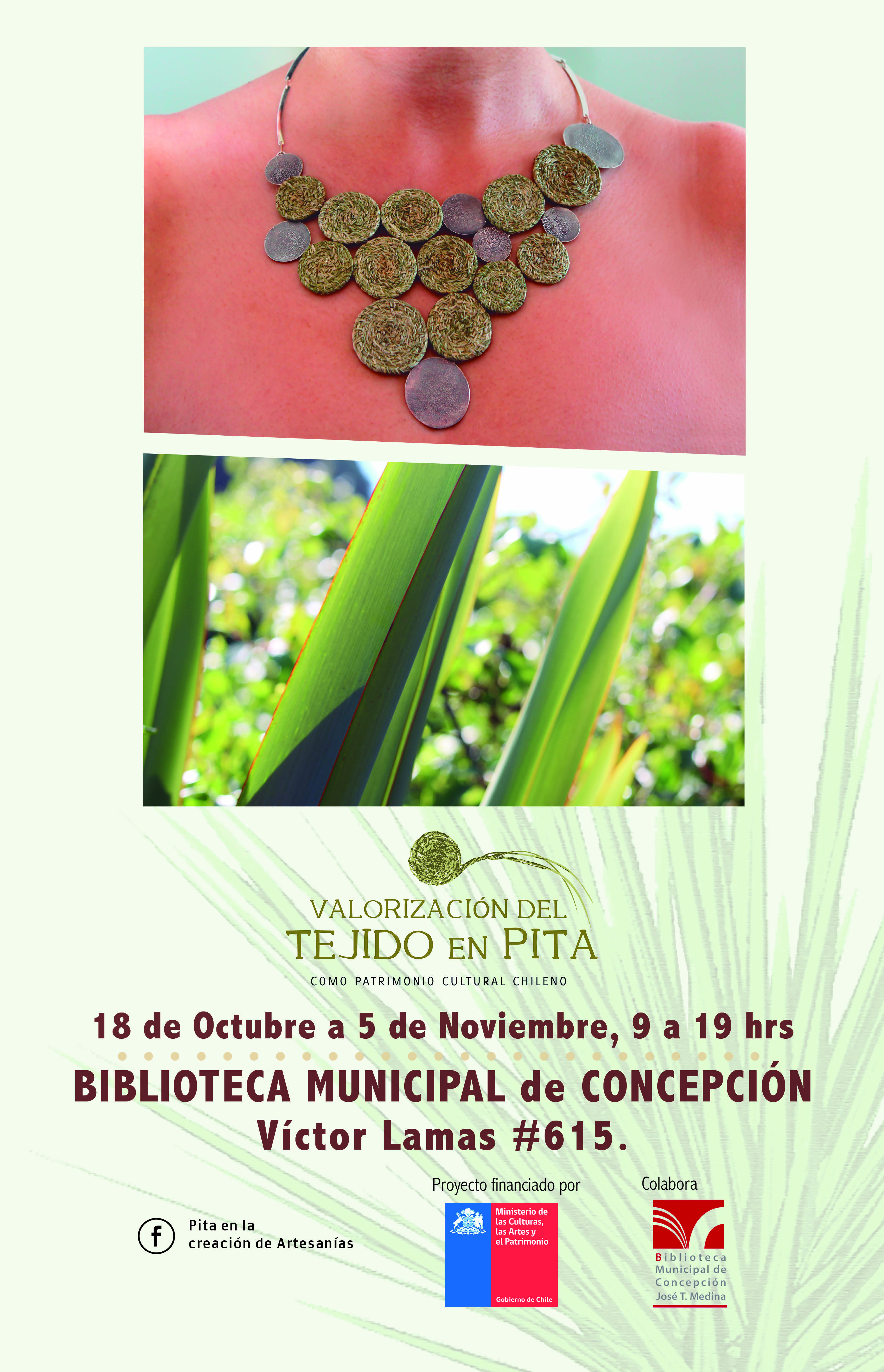 AFICHE PITA expo BIBLIOTECA_NOV